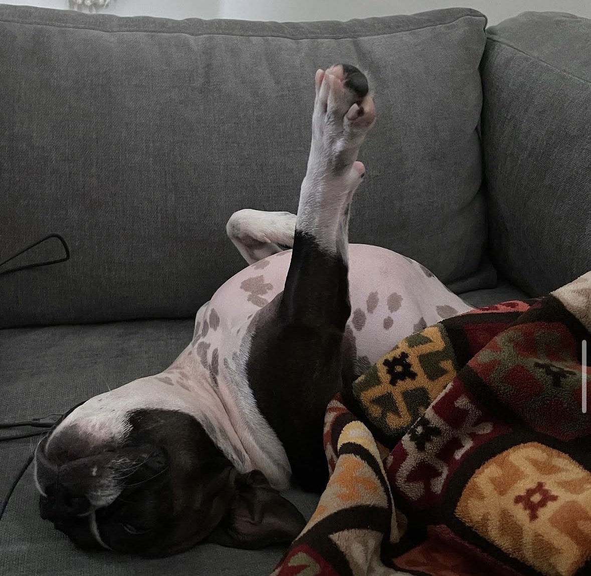 Benji stretching his arms