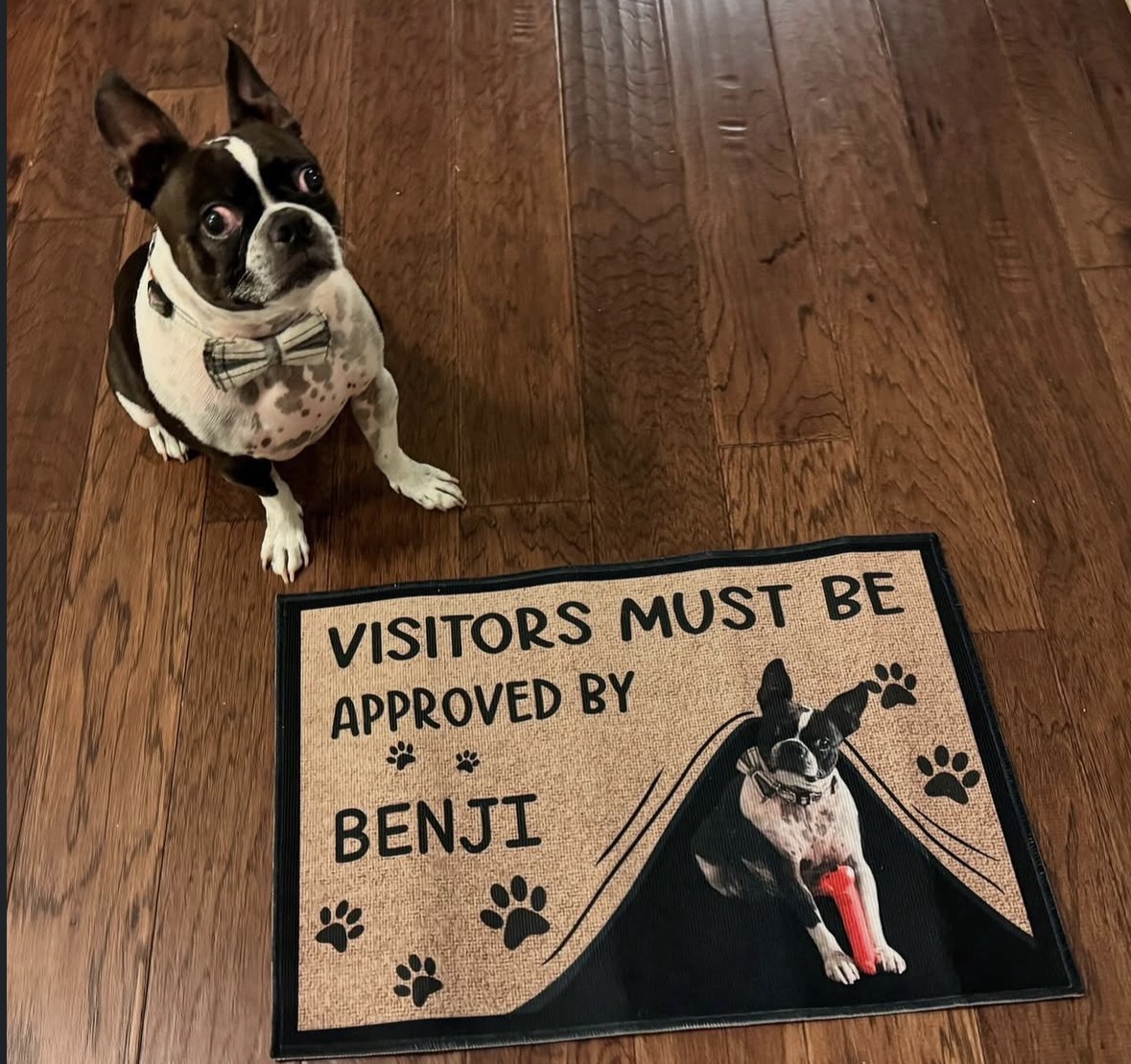 Benji's reaction to moman's new doormat