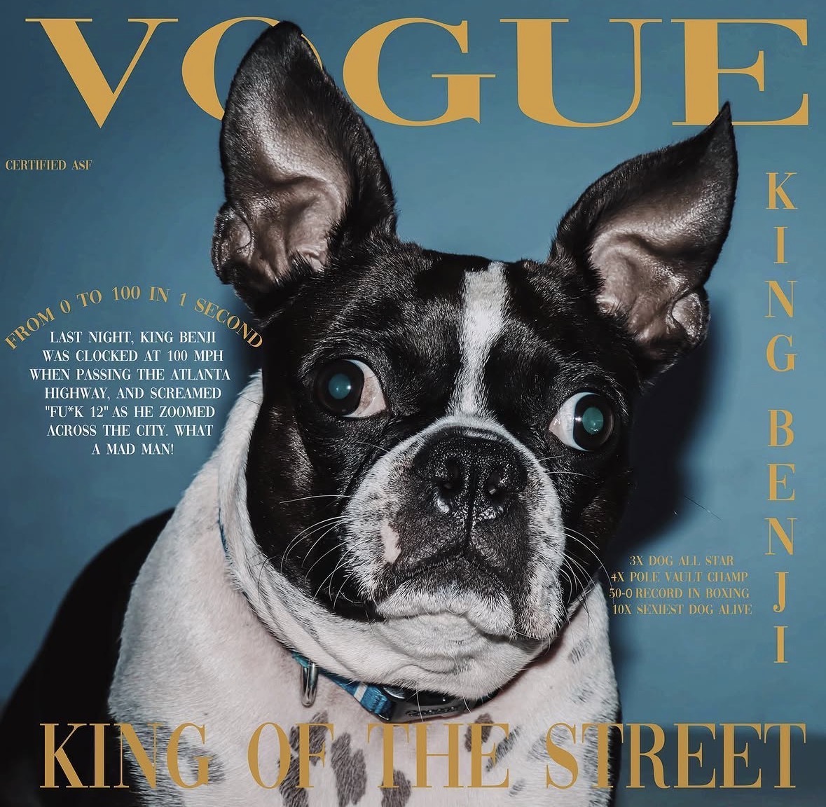 Benji on the cover of Vouge magazine